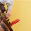 Handyman repair service in Columbus, OH for home fixes and improvements